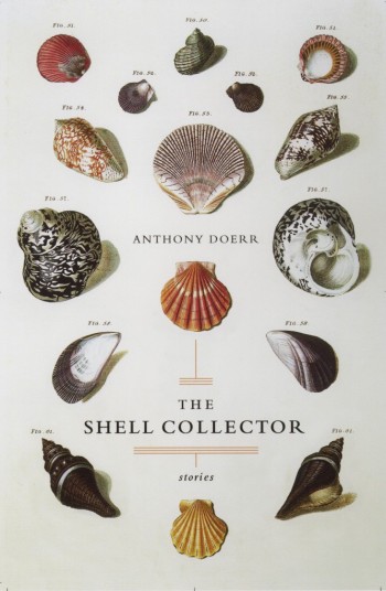 The Shell Collector