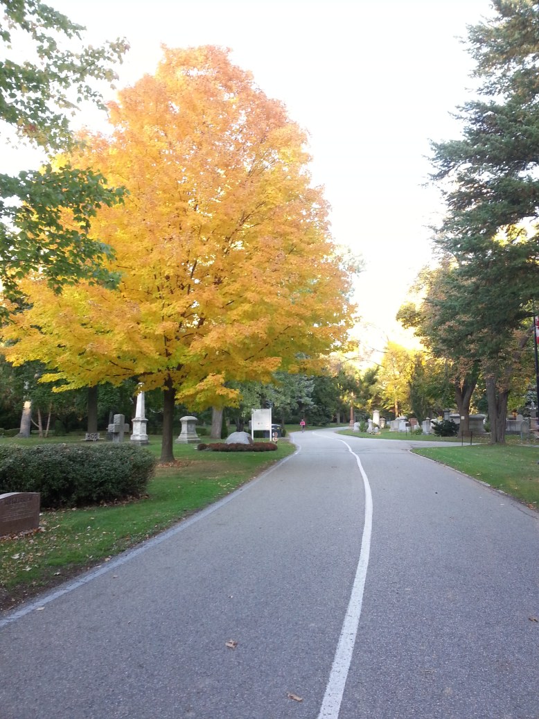 fall-in-mount-pleasant-cemetery